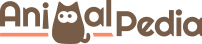 AnimalPedia